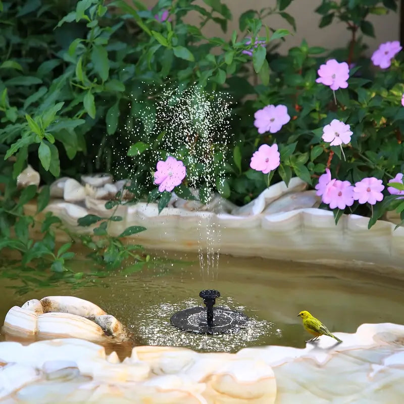 EcoSplash