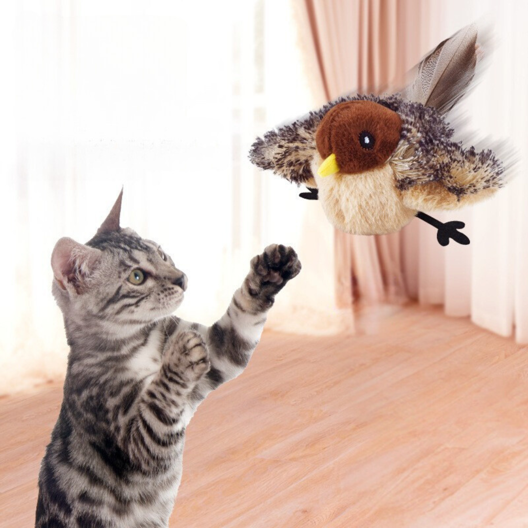 PurrChase™