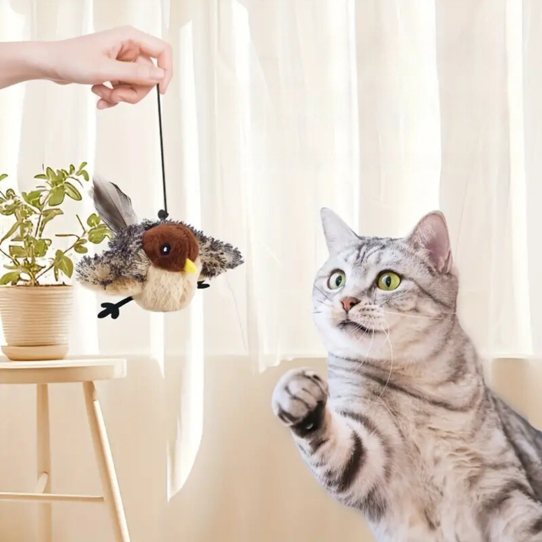 PurrChase™